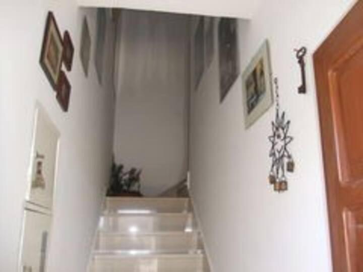 Apartment Biljana Бол Екстер'єр фото