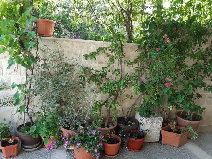 Apartment Biljana Бол Екстер'єр фото