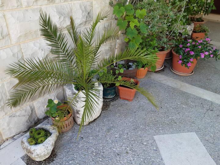 Apartment Biljana Бол Екстер'єр фото